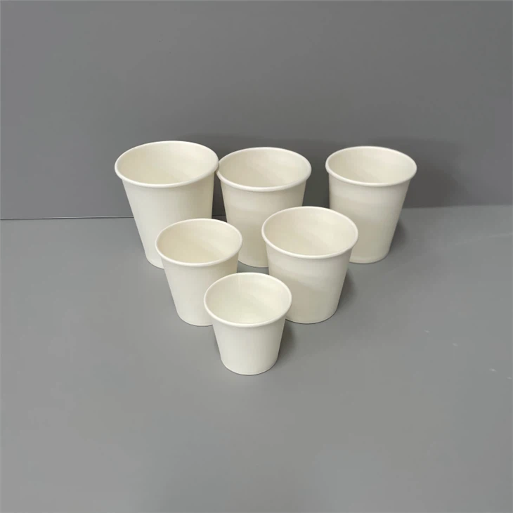 white paper cup2